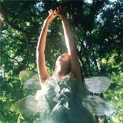 恶夜活死鸡